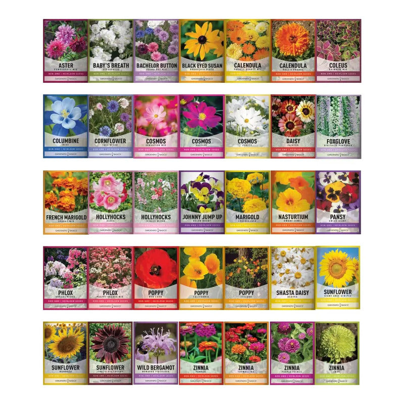 Gardeners Basics, Paquetes De Semillas De Flores Para Plant