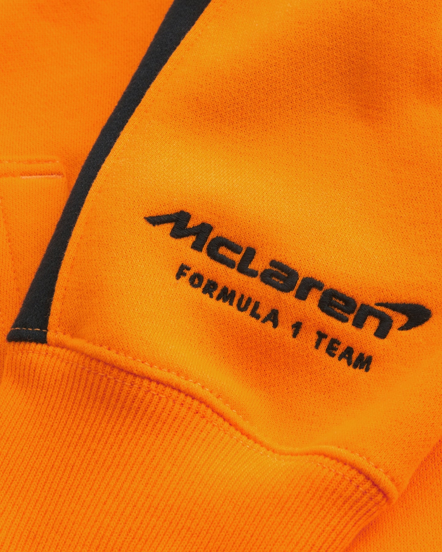 Buzo Hoodie con capucha gráfico de Formula 1 Hombre