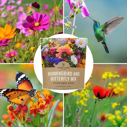 Wildflower Seeds - Mezcla De Mariposas Y Pájaros Colibríe