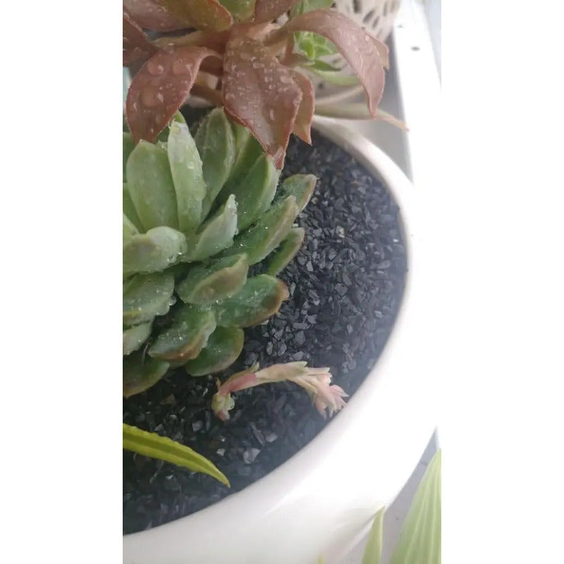 Piedras De Laja Para Jardín En Miniatura, Hadas De Jardín. Gris Oscuro